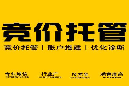 百度竞价托管服务，提升广告投放ROI的秘诀